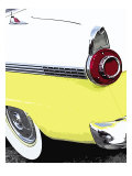 Tail Fins And Two Tones VI