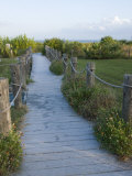 Path to Beach  Sanibel Island  Gulf Coast  Florida  United States of America  North America