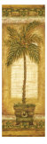 Palmera Coconut