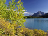 Waterfowl Lake  Banff National Park  UNESCO World Heritage Site  Rocky Mountains  Alberta  Canada  
