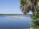 JN "Ding" Darling Wildlife Reserve  Sanibel Island  Gulf Coast  Florida