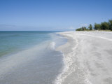Beach Covered in Shells  Captiva Island  Gulf Coast  Florida  United States of America