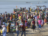 Mbour Fish Market  Mbour  Senegal  West Africa  Africa