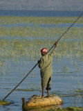 Reed Boat on Awasa Lake  Rift Valley Region  Ethiopia  Africa