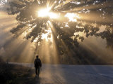 Man Walking Along a Street with Sun Rays Shining Through a Tree  Highlands  Myanmar