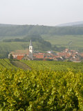 Vineyards and Villages Along the Wine Route  Alsace  France  Europe