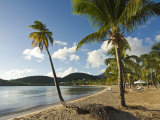 Carlisle Bay  Antigua  Leeward Islands  West Indies  Caribbean  Central America
