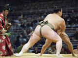 Fukuoka Sumo Competition  Kyushu Basho  Fukuoka City  Kyushu  Japan  Asia