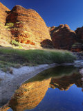 Domes  Bungle Bungle  Purnululu National Park  Kimberley  Western Australia  Australia  Pacific