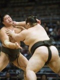 Fukuoka Sumo Competition  Kyushu Basho  Fukuoka City  Kyushu  Japan  Asia