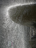 Fountain at St Peter's Square  Vatican  Rome  Lazio  Italy  Europe