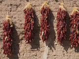 Chili Peppers on Adobe Wall  Tubac  Greater Tucson Region  Arizona