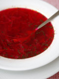 Borscht  a Traditional Russian Beetroot Soup  Moscow  Russia  Europe