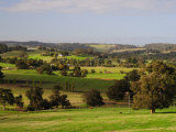 Farmland  Picton  Western Australia  Australia  Pacific
