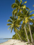 Aitutaki  Cook Islands  South Pacific  Pacific