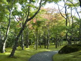 Moss Garden  Hakone Museum of Art  Koen-Kami  Gora  Hakone  West of Tokyo  Honshu  Japan