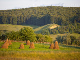 Countryside Near Guru Humorului  Bucovina  Romania  Europe