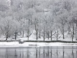 Rydal Water  Near Ambleside  Lake District National Park  Cumbria  England  UK