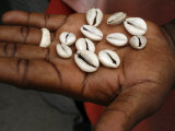 Shells Used by Fortune Tellers  Brazzaville  Congo  Africa