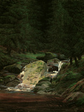 Waterfall in the Fir Wood  c1828