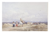 Harvesters in a Field