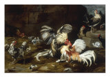 A Cockfight with other Poultry in a Farmyard