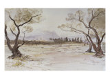 Near Kanea  Crete  1864