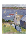 Iona