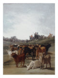 Sorting the Bulls