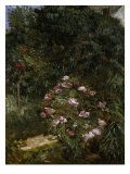 Massif de Fleurs  Jardin du Petit Gennevilliers  1884