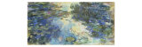 Le Bassin aux Nympheas  c1917-19