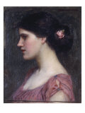 Portrait of a Girl