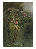 Le Rosier  c1884-86