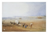 Beach Scene on the South Coast