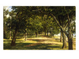Wood Glade  1889