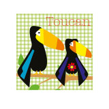 Rock a Toucan