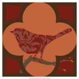 Moroccan Songbird IV