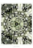 Complex II