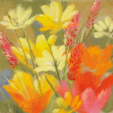 Field of Delight