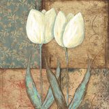 Tulip II