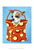 Chihuahua Dots
