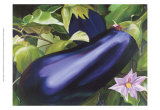 Vegetable Garden II