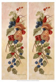 Berry Vine I