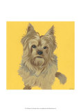 Buster