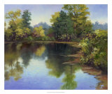 Summer Pond