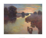 Evening Wetlands