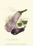 Aubergine Eggplant
