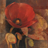 Poppy Reflection