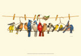 Bird Menagerie II