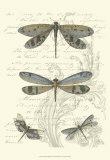 Dragonfly Delight I